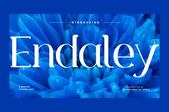 Endaley Typeface: A Designer's Review for Modern Campaigns
